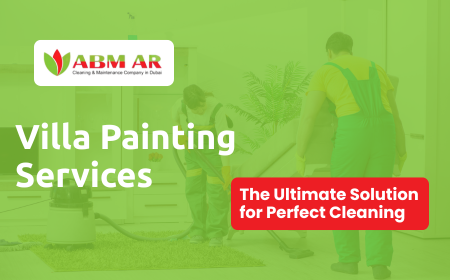 villa painting services