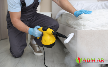 Steam Deep Cleaning Services