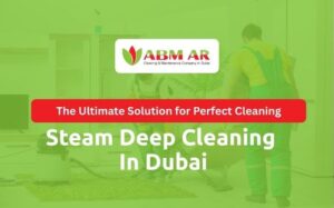 Steam Deep Cleaning Services