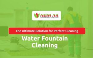 Water Fountain Cleaning Services