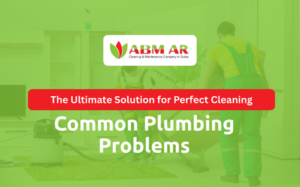 Common Plumbing Problems