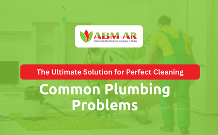 Common Plumbing Problems